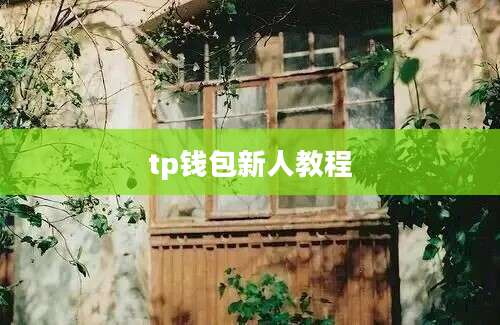 tp钱包新人教程