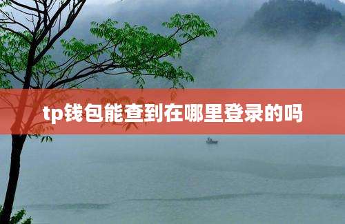 tp钱包能查到在哪里登录的吗