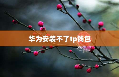 华为安装不了tp钱包