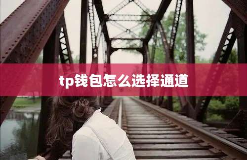 tp钱包怎么选择通道
