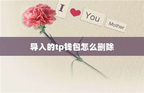 导入的tp钱包怎么删除