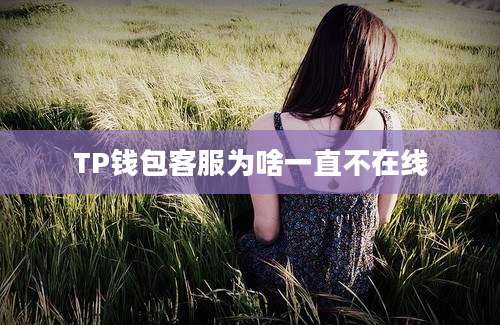 TP钱包客服为啥一直不在线