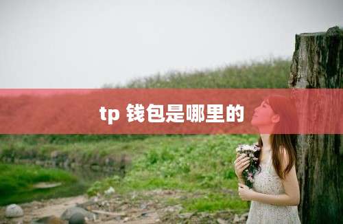 tp 钱包是哪里的