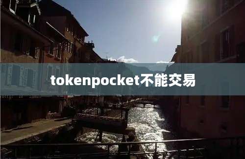 tokenpocket不能交易