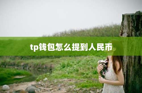 tp钱包怎么提到人民币