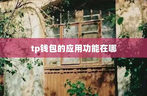tp钱包的应用功能在哪