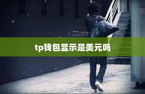 tp钱包显示是美元吗