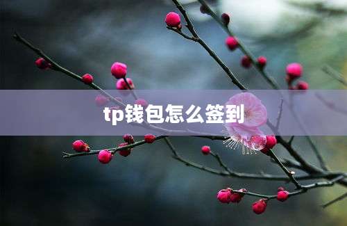 tp钱包怎么签到