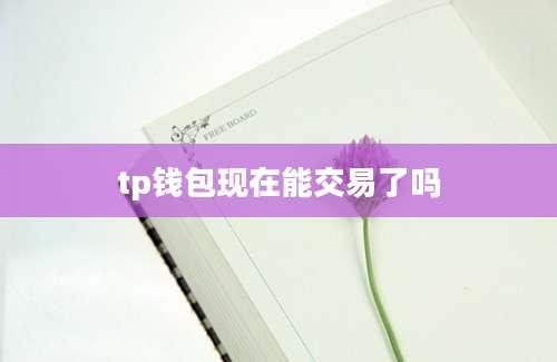 tp钱包现在能交易了吗