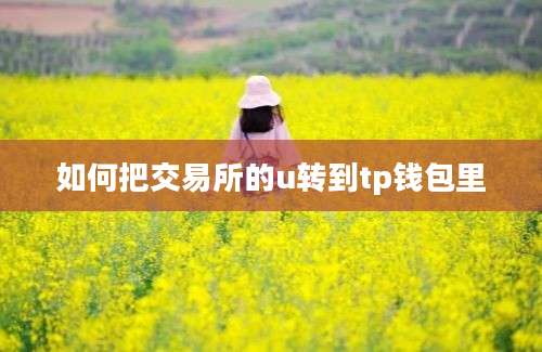 如何把交易所的u转到tp钱包里