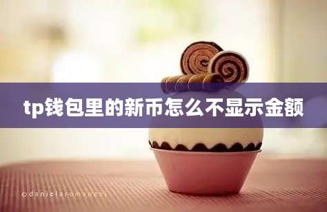tp钱包里的新币怎么不显示金额