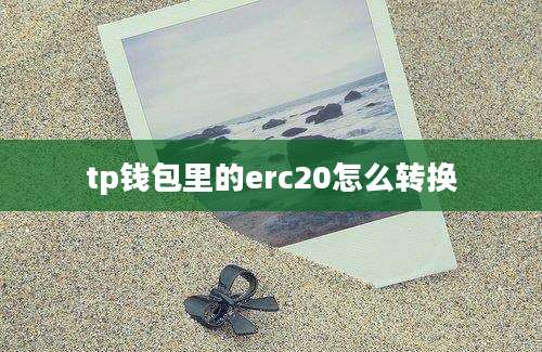 tp钱包里的erc20怎么转换