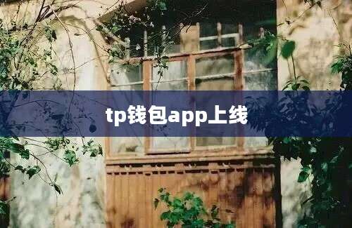 tp钱包app上线