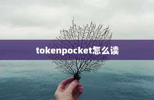 tokenpocket怎么读