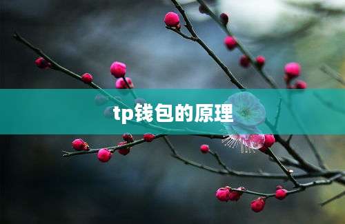tp钱包的原理