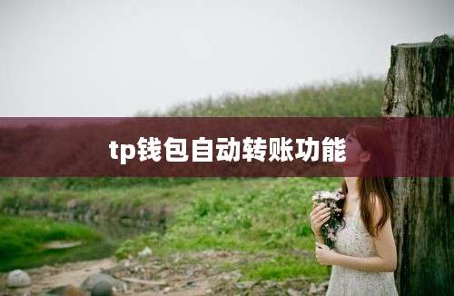 tp钱包自动转账功能