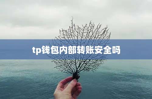 tp钱包内部转账安全吗
