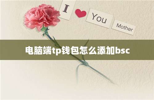 电脑端tp钱包怎么添加bsc