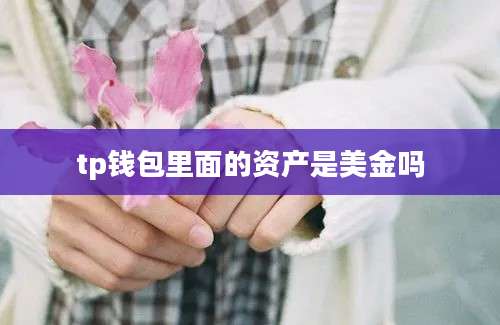 tp钱包里面的资产是美金吗