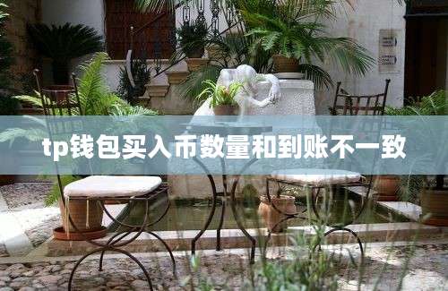 tp钱包买入币数量和到账不一致