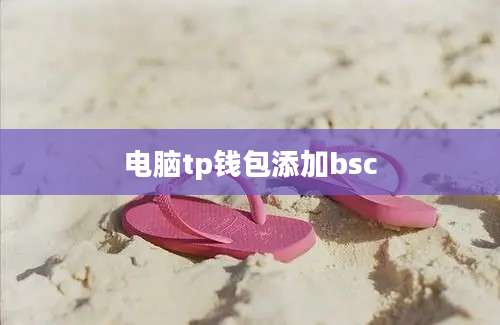 电脑tp钱包添加bsc