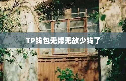 TP钱包无缘无故少钱了