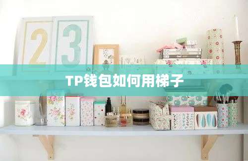 TP钱包如何用梯子