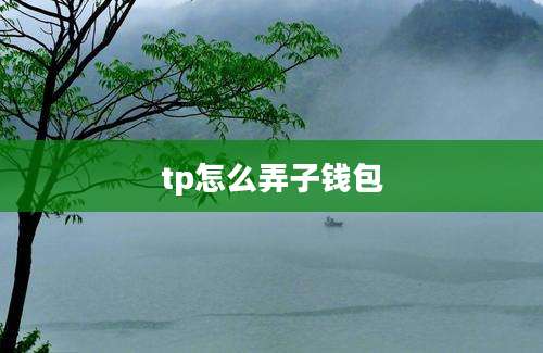 tp怎么弄子钱包