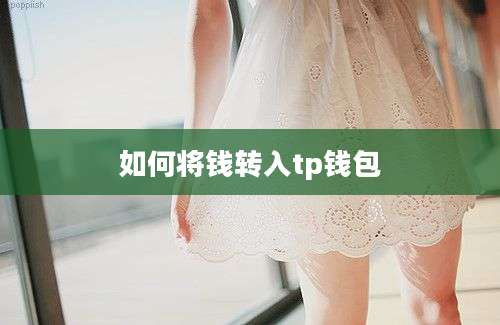 如何将钱转入tp钱包