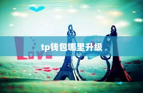 tp钱包哪里升级