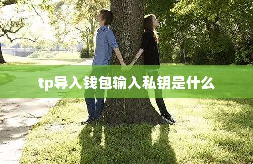 tp导入钱包输入私钥是什么
