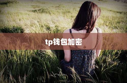 tp钱包加密