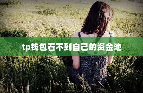 tp钱包看不到自己的资金池