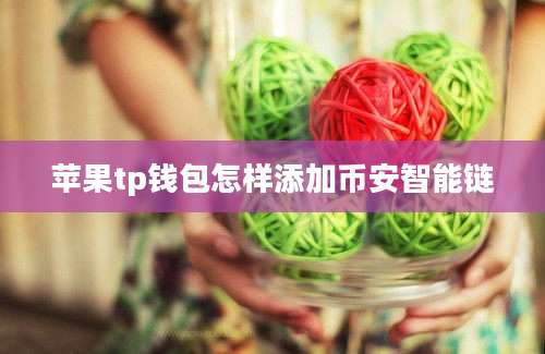 苹果tp钱包怎样添加币安智能链