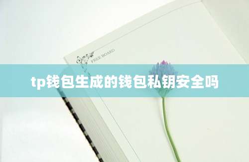 tp钱包生成的钱包私钥安全吗