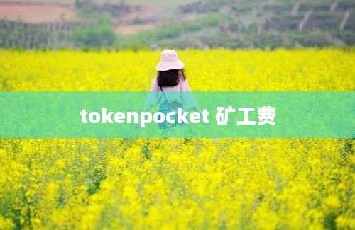 tokenpocket 矿工费