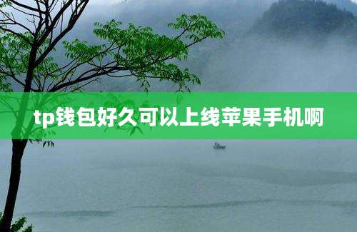 tp钱包好久可以上线苹果手机啊