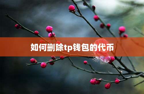 如何删除tp钱包的代币