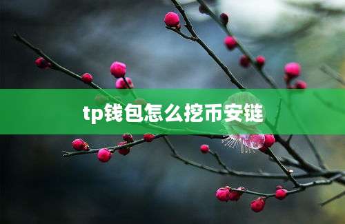 tp钱包怎么挖币安链
