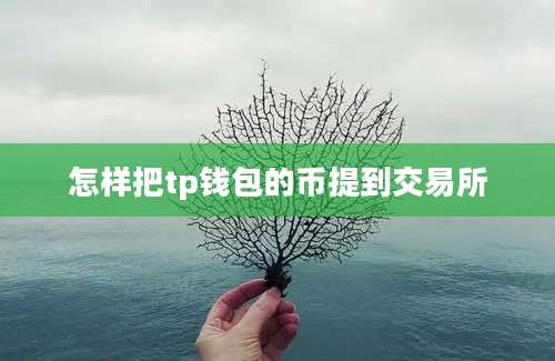 怎样把tp钱包的币提到交易所