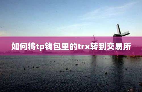 如何将tp钱包里的trx转到交易所