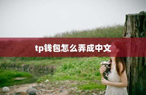 tp钱包怎么弄成中文