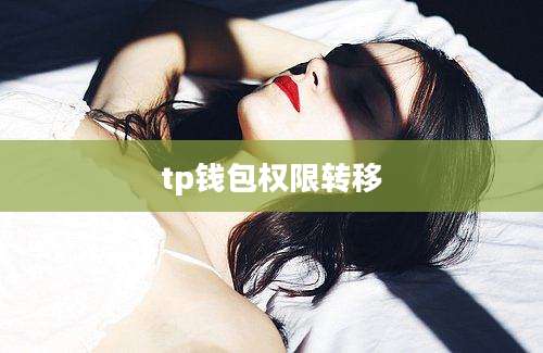 tp钱包权限转移
