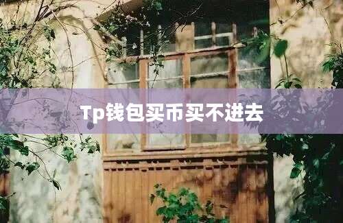 Tp钱包买币买不进去