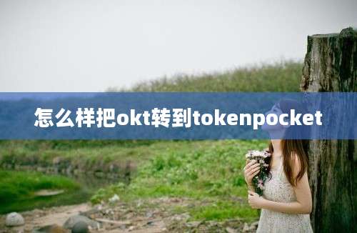 怎么样把okt转到tokenpocket