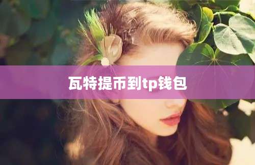 瓦特提币到tp钱包