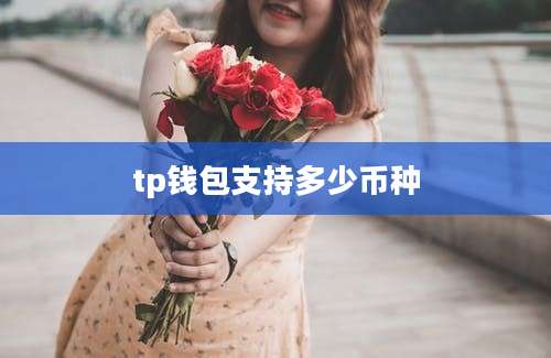 tp钱包支持多少币种