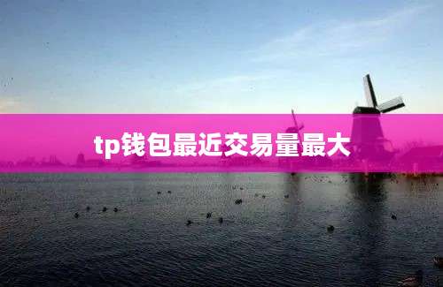 tp钱包最近交易量最大