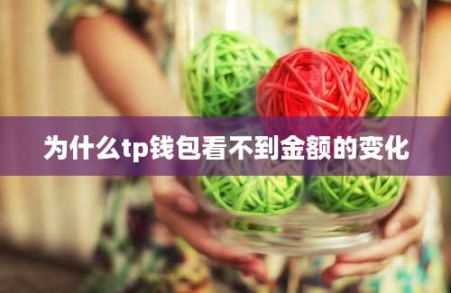 为什么tp钱包看不到金额的变化