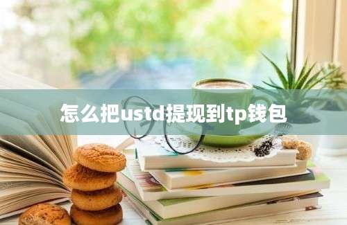 怎么把ustd提现到tp钱包
